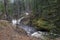 A mountain river flows in a forest gorge