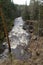 A mountain river flows in a forest gorge