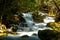 A mountain river flows in a forest. Rocky path along the river