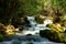 A mountain river flows in a forest. Rocky path along the river