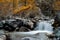 mountain river flows over the rocks. The rivers are altai. Nature is altai