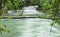 Mountain river in the forest of Abkhazia, landscape.