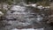 Mountain river in forest. Fresh snow lies on the bank of stream.