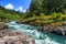 Mountain river and forest in North Cascades National Park Washington USA