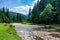 Mountain river among the forest in summer