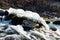 Mountain river on a frosty day and icing stones