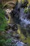 Mountain river in the gorge of mountains near the city of San Pelegrino in Italy