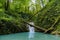 Mountain river in the gorge and stones covered with moss. Waterfall and dense vegetation.