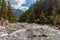 Mountain river in a gorge with trees and rocks along the edges.