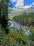 Mountain river among the green forest in summer. Amazing clouds against the blue sky and yellow wildflowers. Vertical photo.