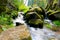 Mountain river with green mossy stones and small waterfall. Captured in Sumava National Park in Czech Republic.