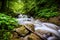 Mountain river in the highlands, green slopes of the Ukrainian Carpathians, still snow-capped mountains