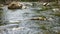 Mountain River Landscape of Nature, Stream, Creek