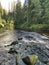 Mountain river among large stones and with forest banks