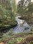 Mountain river among large stones and with forest banks