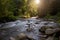 Mountain river on a long exposure in the summer in the Carpathian forests, a beautiful landscape