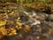 Mountain river with low level of water, gravel with first colorful leaves. Mossy rocks and boulders on river bank.