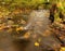 Mountain river with low level of water, gravel with first colorful leaves. Mossy rocks and boulders on river bank.