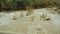 Mountain river with muddy water in Morocco, fast flow of the river, view from car window, shoot on the move, full hd