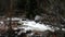 Mountain River Over Rocks With Bare Trees On Bank