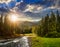 Mountain river in pine forest at sunset