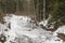 Mountain river of Prut in the winter Carpathian Mountains. The path to the highest mountain of Ukraine-Hoverla