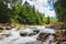 Mountain river with rapid streams of water, trees on the bank of a mountain river._