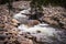 Mountain river with rapids. Nature of the Rocky Mountains