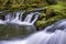 Mountain river with rapids on stones covered with moss and fallen trees in a wild forest