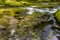 Mountain river with rapids on stones covered with moss in a wild forest