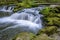 Mountain river with rapids on the stones in the wild forest