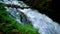 Mountain river with rapids and waterfalls - stream flowing through thick green forest. Stream in dense wood