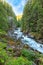 Mountain river. Robe Canyon Historic Park - Lime Kiln Trail