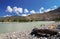 Mountain river shore stones sunny summer day Mountain Altai Katun