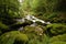 Mountain river in Slovenia, dreamy scenery, moss-covered stones