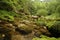 Mountain river in Slovenia, dreamy scenery, moss-covered stones