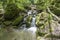 Mountain river, sources - canyon of the stone bed , panorama of the area, nature walks.