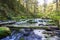 Mountain river with stones covered with moss and fallen trees in the wild forest