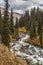 mountain river with stones in the middle flowing through a narrow ravine in the middle of the forest with yellow grass