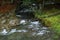 Mountain river or stream in forest. Source of water