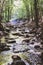 Mountain River Stream Through Summer Forest. Clear Water. Day In Nature