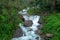 Mountain river stream waterfall fresh forest / Landscape nature plant tree rainforest jungle with rock and green mos in the