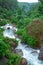 Mountain river stream waterfall fresh forest / Landscape nature plant tree rainforest jungle with rock and green mos in the