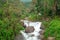 Mountain river stream waterfall fresh forest / Landscape nature plant tree rainforest jungle with rock and green mos in the