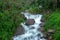 Mountain river stream waterfall fresh forest / Landscape nature plant tree rainforest jungle with rock and green mos in the