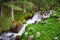 Mountain river stream, waterfall in the mountains, mountain creek among pines and greenery. Cascade falls over mossy rocks