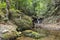 Mountain river in tropical jungle flowing over rocks. Huge boulders covered with moss in a river bed. Fallen withered leaves. Palm