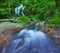 Mountain river in tropical rain forest