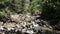 Mountain river. water motion near the stones