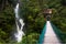 Mountain river and waterfall in the Andes